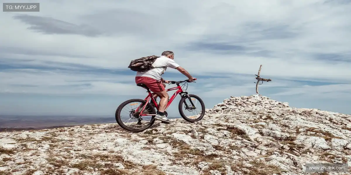 起跑线是弓，运动员是箭。🎇 🎇